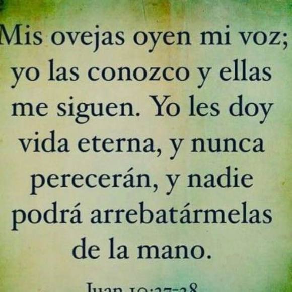 Meet your Posher, Dianna - Picture 1 of 1